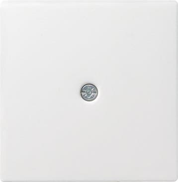Insert Dappareillage Gira System 55 - 027403, Verzenden