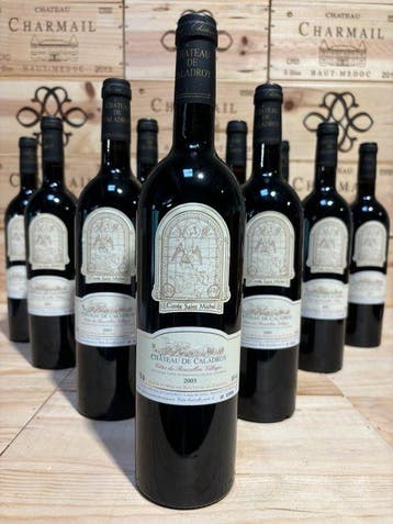 2003 Château de Caladroy Saint Michel -