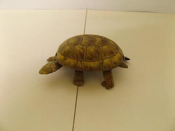 Günthermann - Blikken speelgoed - Schildkröte - 1910-1920 -