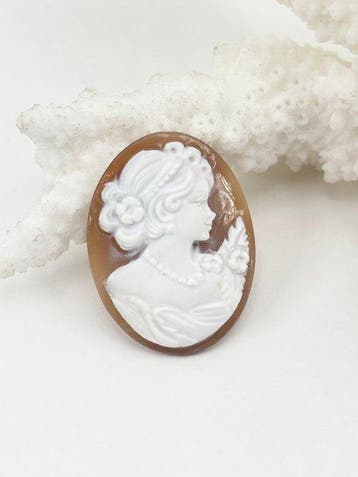 Zonder reserveprijs Cassis madagascariensis - Cameo -