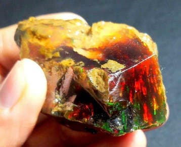 Opaal 519 karaat grote Ethiopische ruwe olie-opaal,