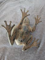 Statue, frog - 14 cm - Bronze patiné, Antiquités & Art