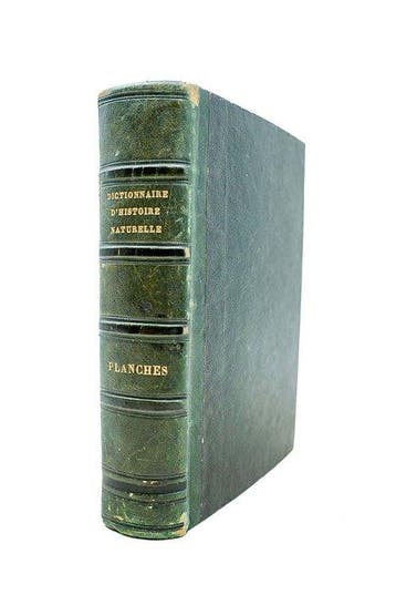 Jean-Baptiste Bory de Saint-Vincent - Dictionnaire classique