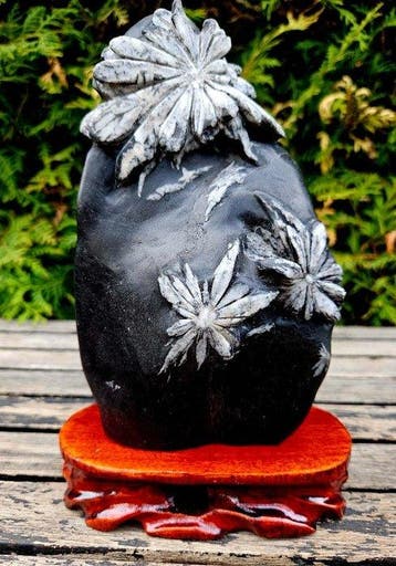 Calcaire noir avec célestine – pierre-chrysantème - Hauteur