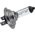 H7 Halogeen Lamp (Halogeen lampen), Verzenden, Nieuw