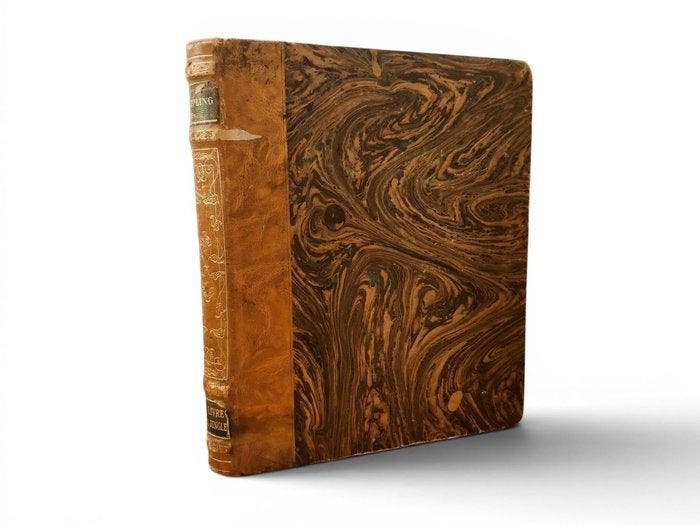 Rudyard Kipling - Le Livre de la Jungle - 1920, Antiquités & Art, Antiquités | Livres & Manuscrits