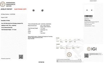 Oorbellen - 18 karaat Witgoud - 1.01ct. tw. Diamant, Nieuw