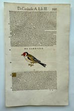 Conrad Gesner - Icones animalium quadrupedum uiuiparorum et