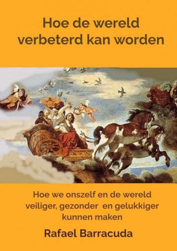 Hoe de wereld verbeterd kan worden 9789464487589, Verzenden, Rafael Barracuda