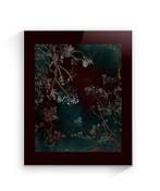 Susana Galbis - Frame the night
