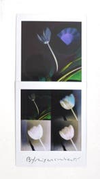 Maurizio Galimberti (1956–) - BiFlowers - 11584