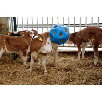 Hooibal hooiruif bal voederbal voor paard ezel blauw - kerbl