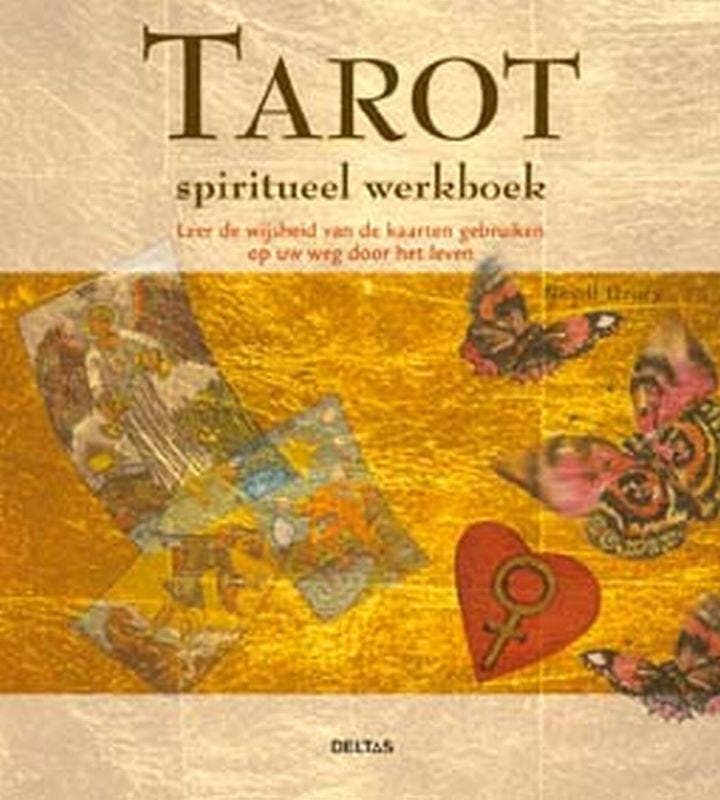 Spiritueel werkboek - Tarot 9789044708479 Nevill Drury, Boeken, Esoterie en Spiritualiteit, Gelezen, Verzenden
