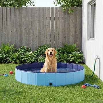 vidaXL Honden zwembad Ø300 x 38 cm Dik PVC Blauw, Dieren en Toebehoren, Verzenden, Nieuw