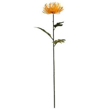 Protea Geel Zijdenbloem 75 cm per stuk, Maison & Meubles, Accessoires pour la Maison | Plantes & Fleurs artificielles