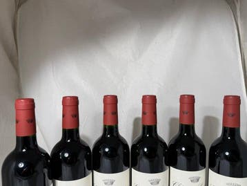 2018 Château Sénéjac - Haut-Médoc - 6 Flessen (0.75 liter)