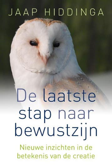 De laatste stap naar bewustzijn 9789493201286 Jaap Hiddinga, Boeken, Verzenden, Zo goed als nieuw, Jaap Hiddinga