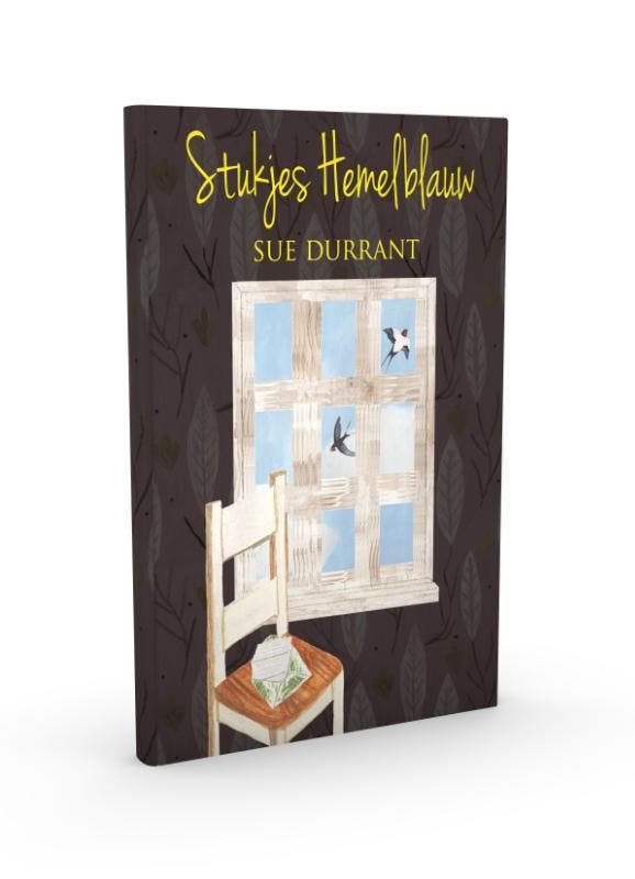 Stukjes hemelblauw 9789030501732 Sue Durrant, Boeken, Kinderboeken | Jeugd | 10 tot 12 jaar, Gelezen, Verzenden
