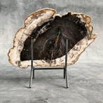 Prachtige plak versteend hout op een op maat gemaakte