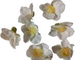 Bloemhoofd Zijdenbloem per stuk, Nieuw
