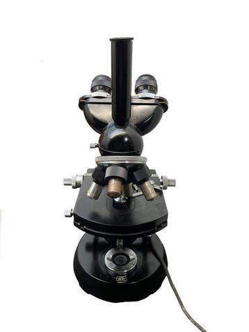Stereo microscope - trinocular head - 1950-1960 - Zeiss