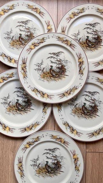 Villeroy & Boch - Service de dîner (6) - Porcelaine -, Antiquités & Art
