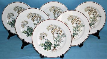 Villeroy & Boch - Assiette à sandwich (6) - Botanica - Vitro