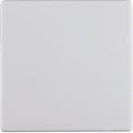 Hager Berker Q.1/Q.3 Control Element/Central Plate, Verzenden, Nieuw