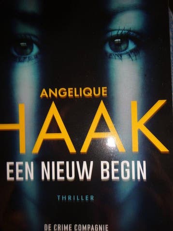 Een nieuw begin / Brugman detective / 1 9789461099051, Verzenden, Zo goed als nieuw, Angelique Haak