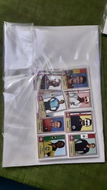 1954 Variant Panini World Cup 1954 - 1 Empty album +, Verzamelen, Nieuw