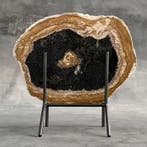 Adembenemende plak versteende palmwortel op een aangepaste