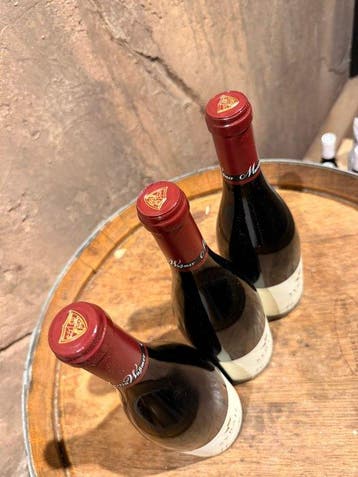 2018 Martin Wassmer Dottinger Castellberg Syrah - Baden - 3, Nieuw