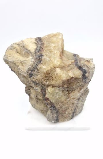 Septarie Ruw Staand (Drakenei), Ophalen of Verzenden, Nieuw