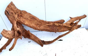 Osaka XL204 uniek aquarium decoratie hout  180x112x60cm, Ophalen of Verzenden, Plant(en), Steen of Hout