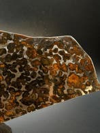 Météorite de Sericho Pallasites - 65 g - (1), Collections