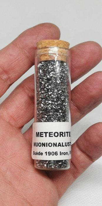 Stardust Météorite Muonionalusta. Météorite de pierre-fer -