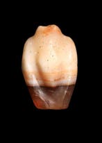 ancien babylonien Agate à bandes Amulette de poids Duck