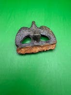 Oud-Romeins Brons Adler-Feuerstahl, Verzamelen