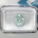 Zonder minimumprijs - 1 pcs Groen, Blauw Paraiba toermalijn, Nieuw