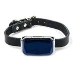 GPS Tracker Halsband - Huisdier Verloren Real Time Locator, Telecommunicatie, Pda's | Toebehoren, Verzenden, Nieuw