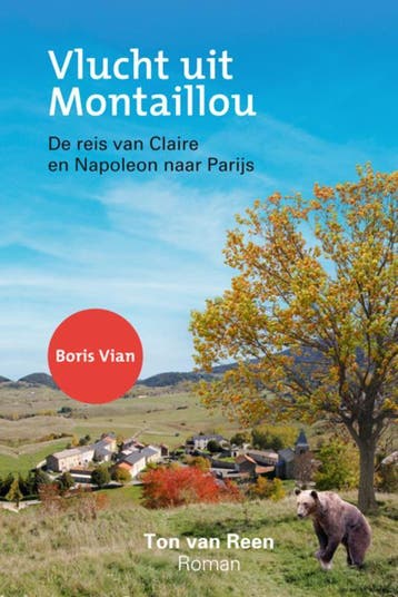 Vlucht uit Montaillou 9789062655045 Ton van Reen, Boeken, Verzenden, Zo goed als nieuw, Ton van Reen