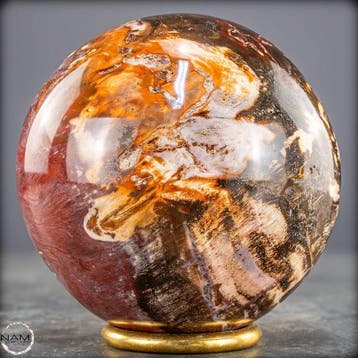 Natuurlijk versteend hout als bol – Intense houtnering in