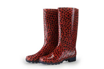 Xq Footwear Regenlaarzen in maat 37 Rood, Xq Footwear, Verzenden, Rood, Regenlaarzen