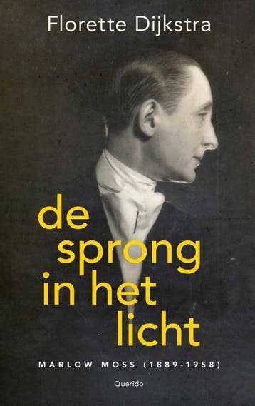 De Sprong In Het Licht | Florette Dijkstra | Nieuw, Verzenden, Nieuw, Florette Dijkstra
