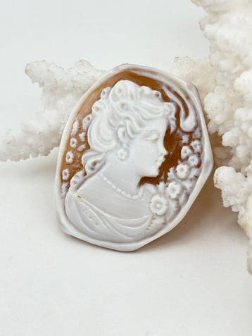 Zonder reserveprijs Cassis madagascariensis - Cameo -