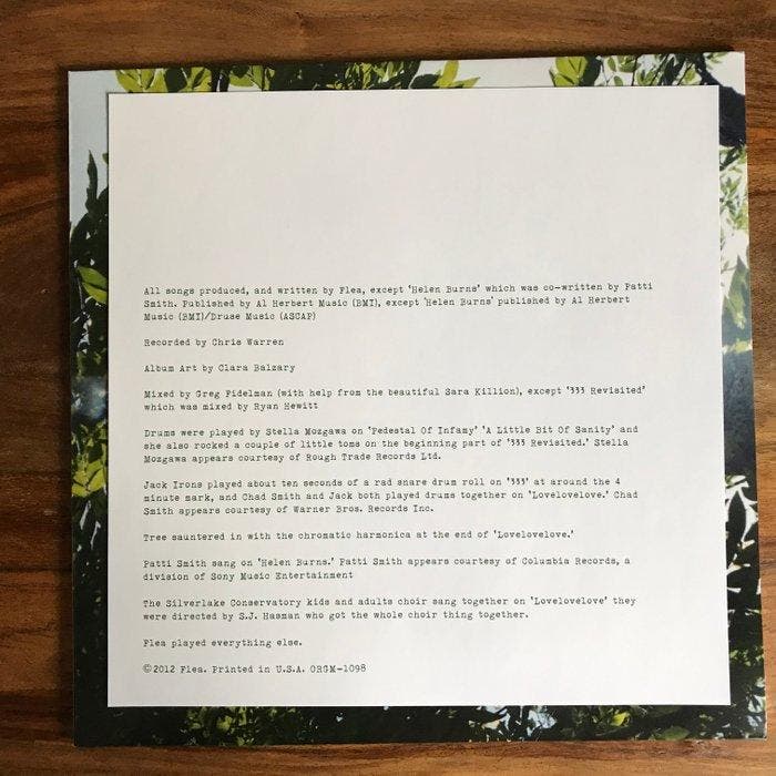 Flea - Helen Burns - Vinylplaat - 180 gram - 2013, CD & DVD, Vinyles Singles