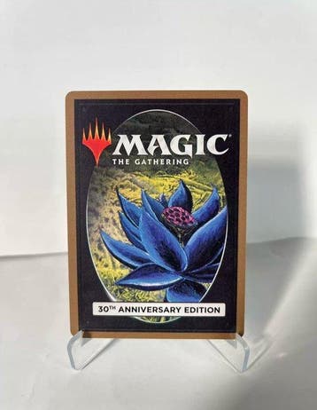 Wizards of the Coast - Bayou Card - Magic: The Gathering, Nieuw