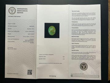 Opale - 20.40 ct - International Gemological Institute (IGI)