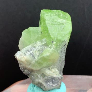 Peridot Exemplaar - Hoogte: 25 mm - Breedte: 18 mm- 7 g -, Collections, Minéraux & Fossiles