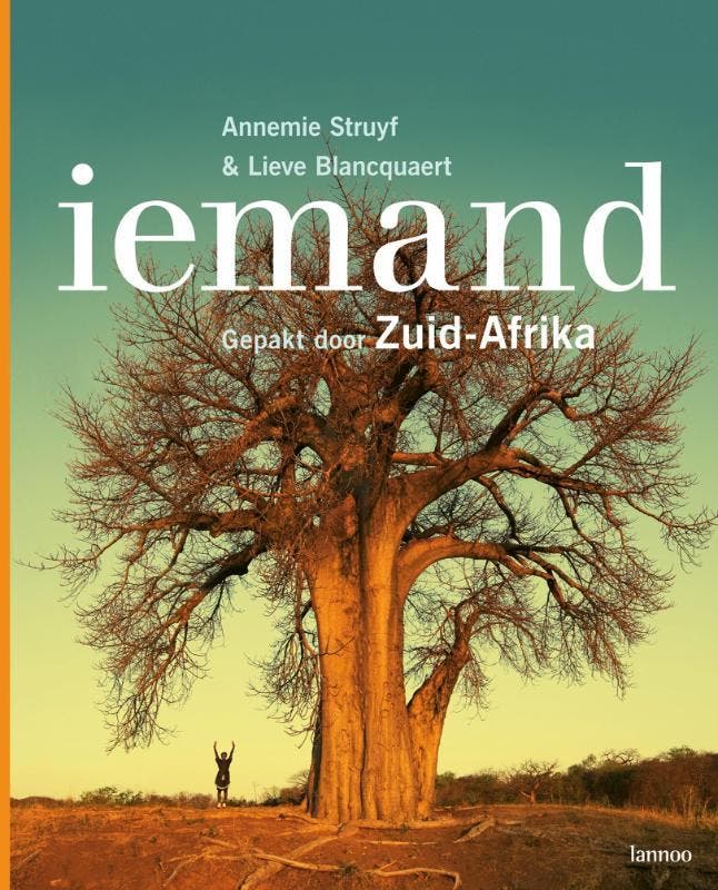 Iemand 9789020983203 A. Struyf, Boeken, Politiek en Maatschappij, Zo goed als nieuw, Verzenden